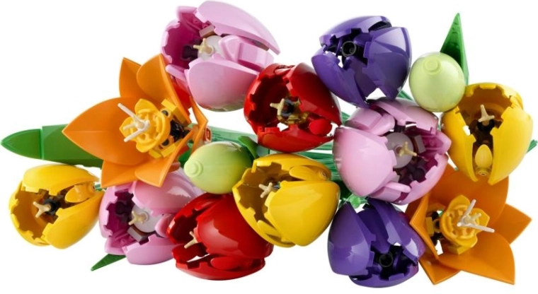 Tulipes réalistes aux couleurs vives