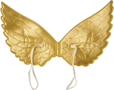 Port confortable et mise en place facile des ailes