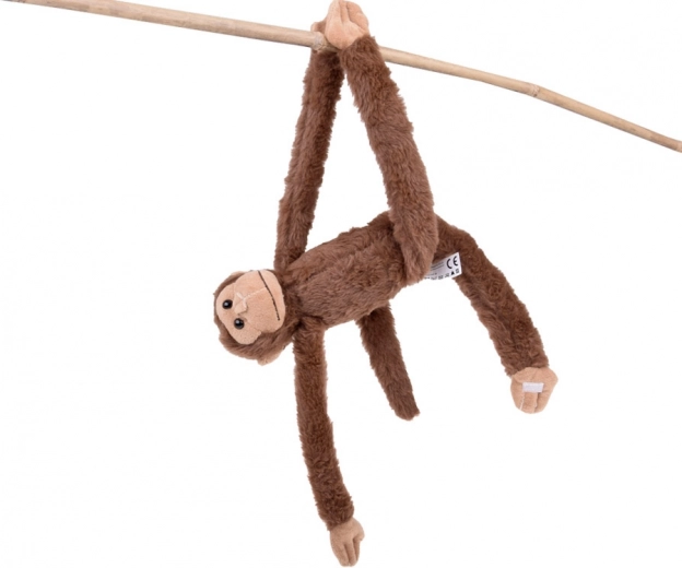 Pattes adhésives pour un amusement sans fin