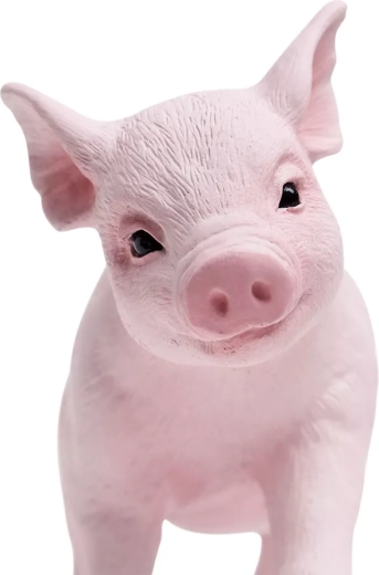 Taille idéale pour la main d’un enfant et pour une collection