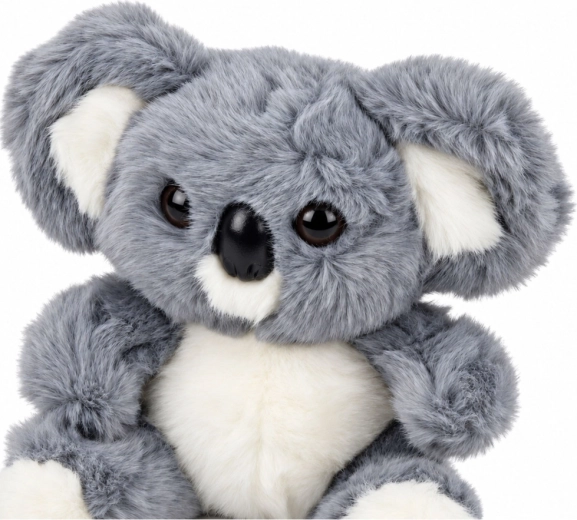Joli design de koala