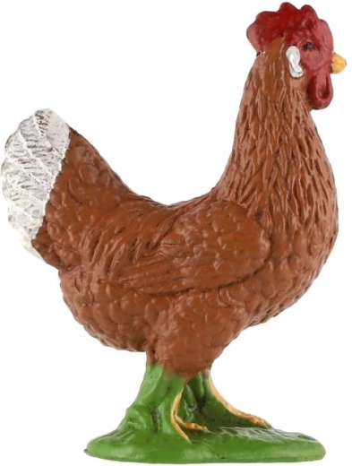 Aspect détaillé de la poule