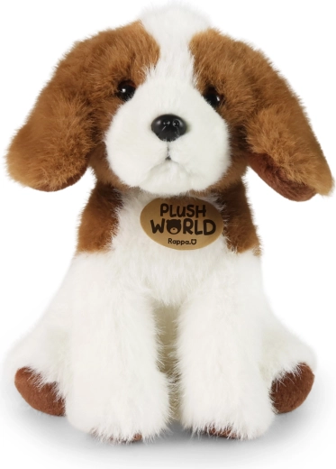 Apparence fidèle d’un beagle apprécié
