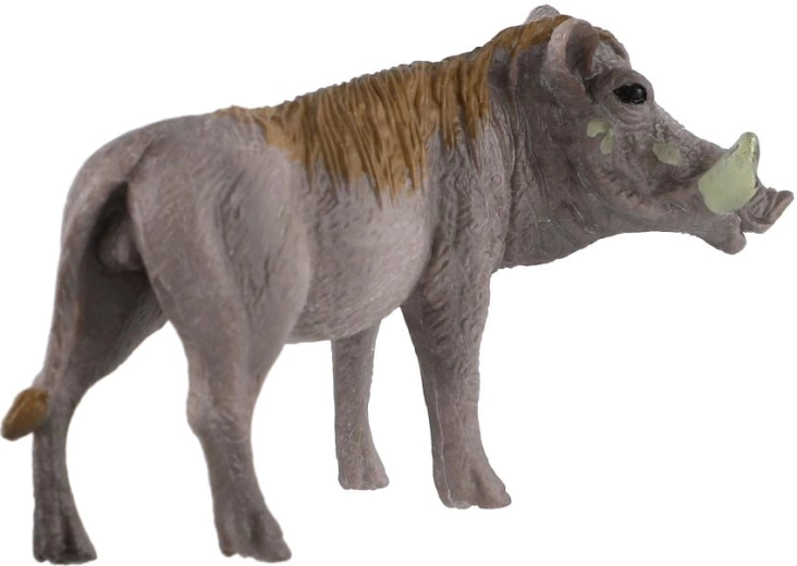 Découverte de la faune africaine