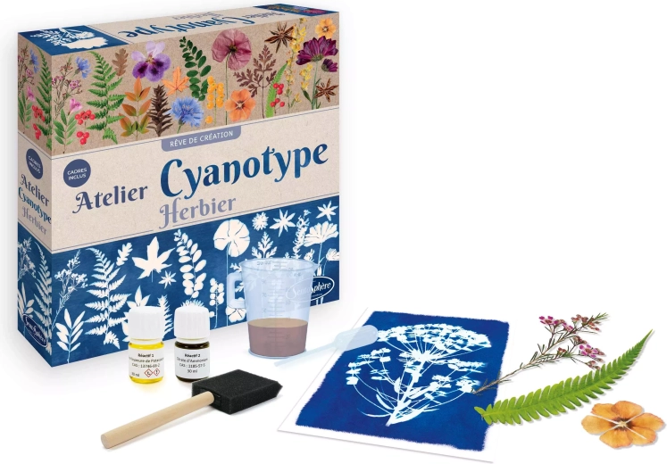 Sentosphere cyanotypie – atelier d’herbier