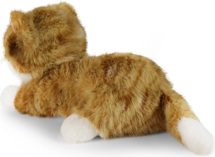 Apparence réaliste d’un chat