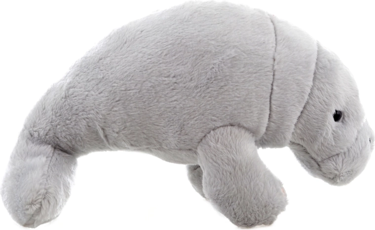 Design adorable pour la chambre d’enfant