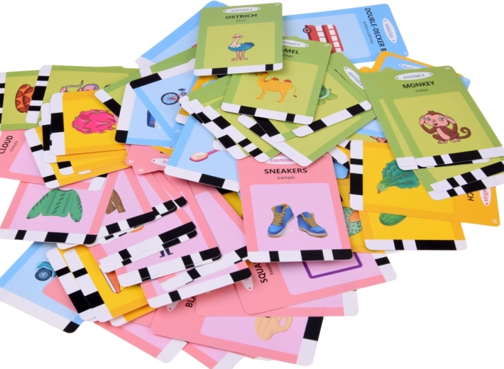 224 cartes éducatives dans des catégories thématiques