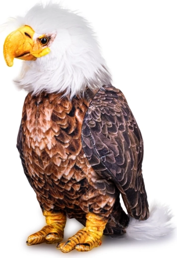 Aigle à tête blanche en peluche 30 cm