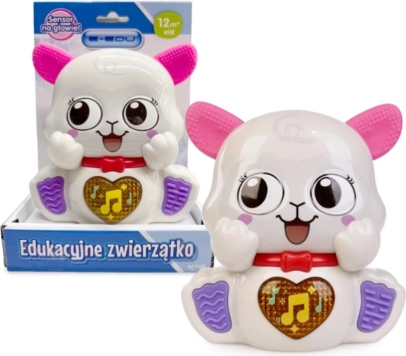 Mouton musical e-edu