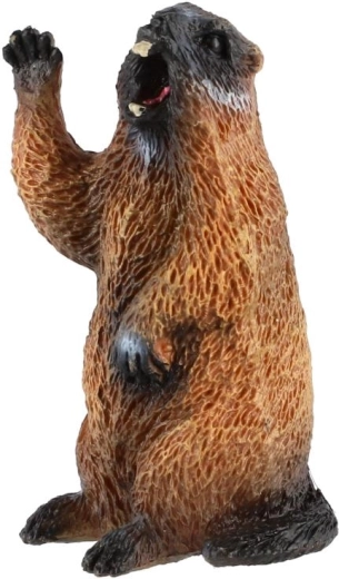Motif réaliste de marmotte