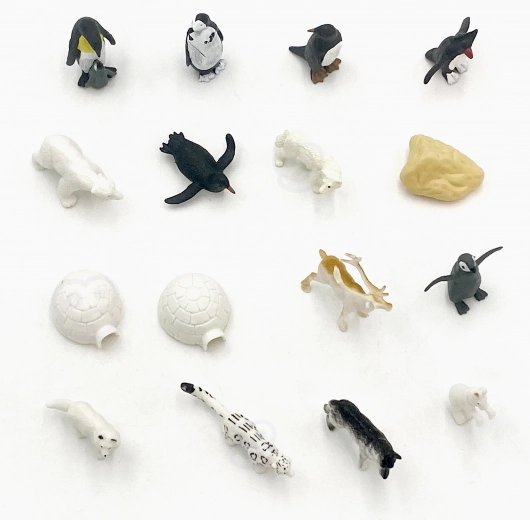 Scène arctique complète