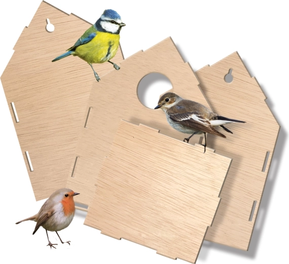 Kit de construction facile en bois naturel