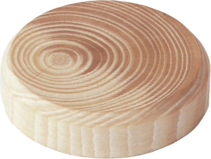 Bouchons de nœuds en bois 35 × 7 mm, lot de 10 pièces