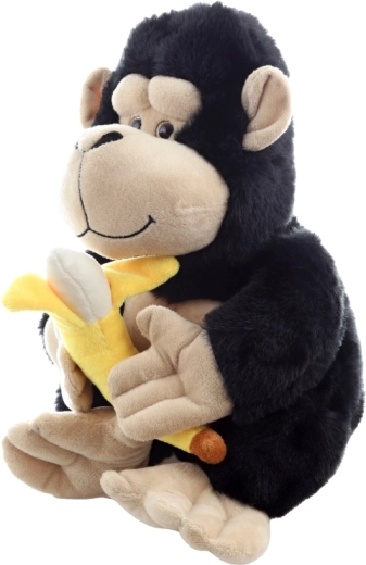 Conception sûre dès 0+