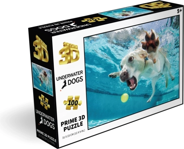 100 pièces pour un amusement intelligent