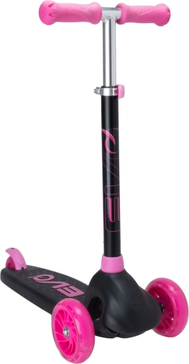 Conception évolutive et maîtrise sûre