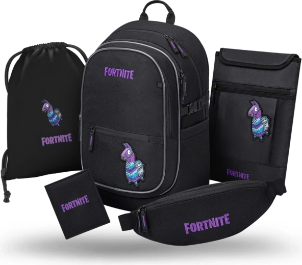 BAAGL Set 5 Fortnite Llama