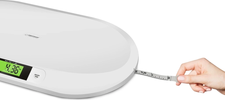 Mesure de la taille de l