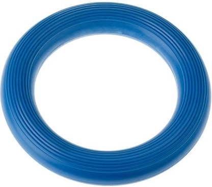 Ringo Tullo Bleu