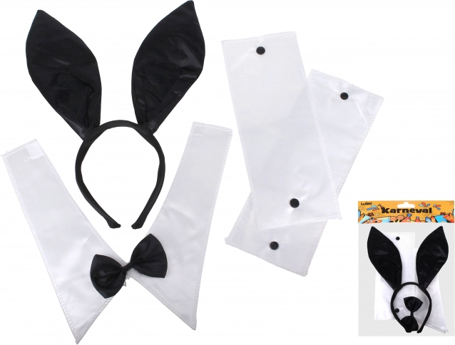 Set de carnaval Lapin pour enfants