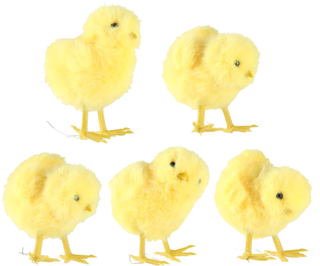 Lot de 10 pièces en 5 designs