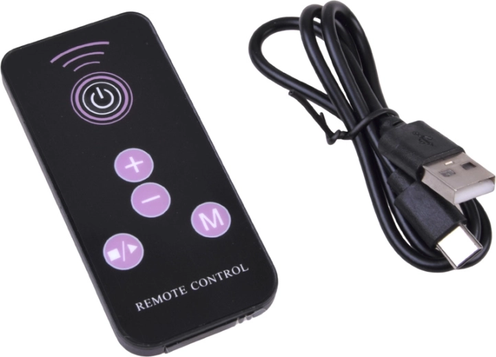 10 niveaux de vitesse et contrôle par télécommande