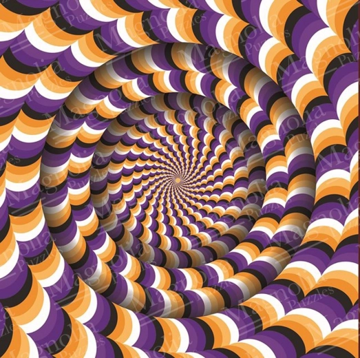 Puzzle illusion d’optique 1023 pièces MAGNOLIA