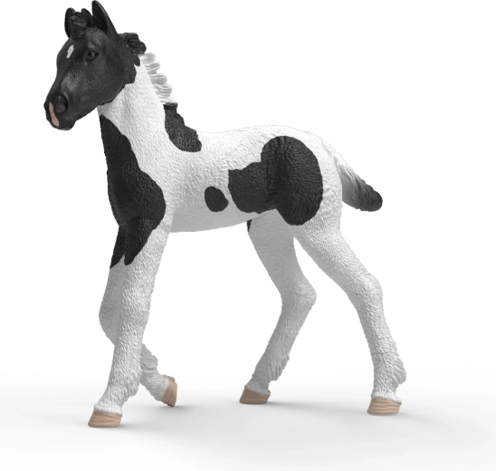 Schleich Horse Club poulain de collection Rocky - 1 pièce
