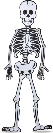 Membres flexibles