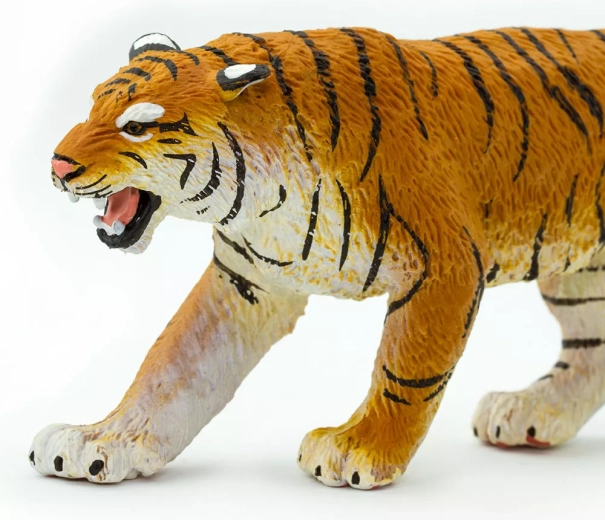 Apprendre en jouant sur la nature et la protection des animaux