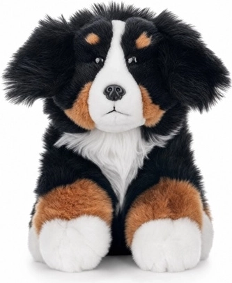 Bouvier bernois 23 cm