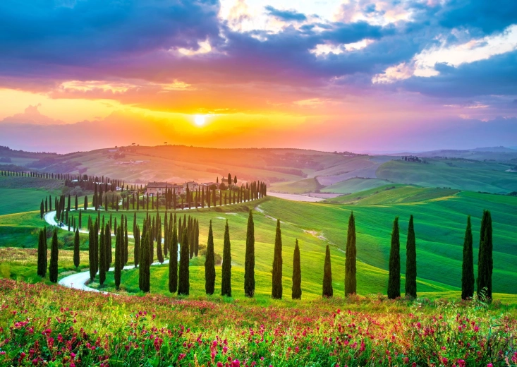 Puzzle Enjoy Lever de soleil en Toscane 1000 pièces
