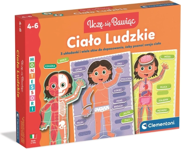 Le corps humain – puzzle éducatif pour enfants de 4 à 6 ans