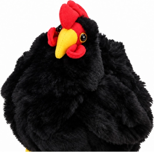 Apparence joyeuse de la poule