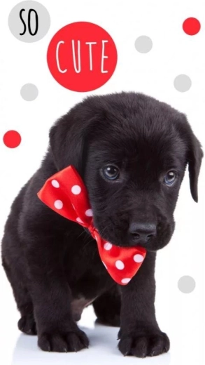 Serviette pour enfant chien 30 × 50 cm Carbotex