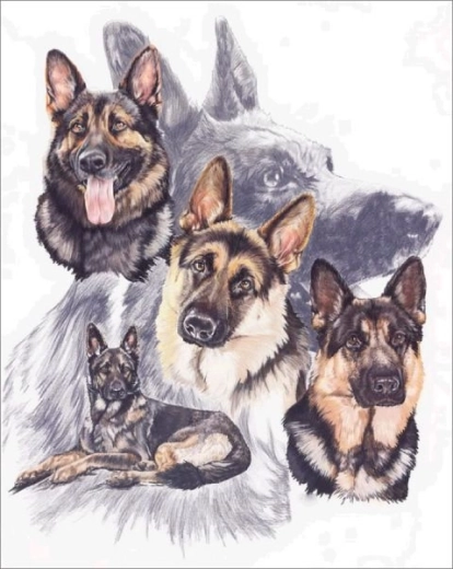 Broderie diamant (diamond painting) - bergers allemands 30 × 40 cm - 1 pièce