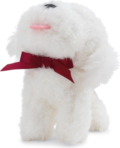 Adorable bichon avec nœud