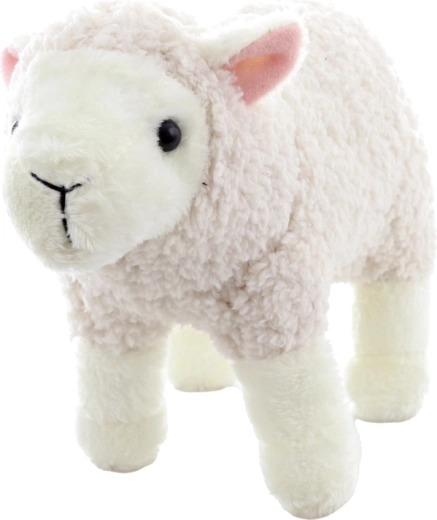 Légère et compacte à la maison comme en voyage