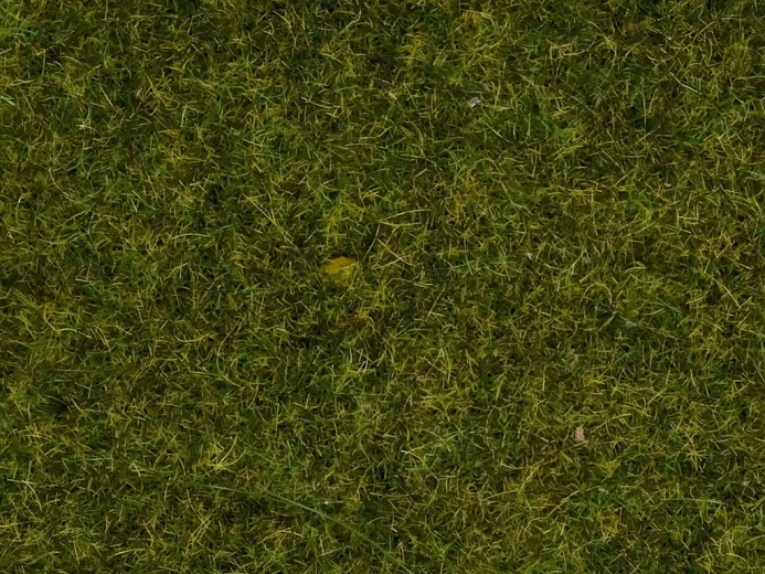 Herbe statique de modélisme pour prairies réalistes