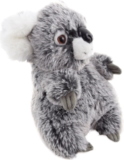 Taille idéale 18 cm