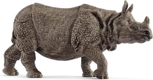 Rhinocéros indien