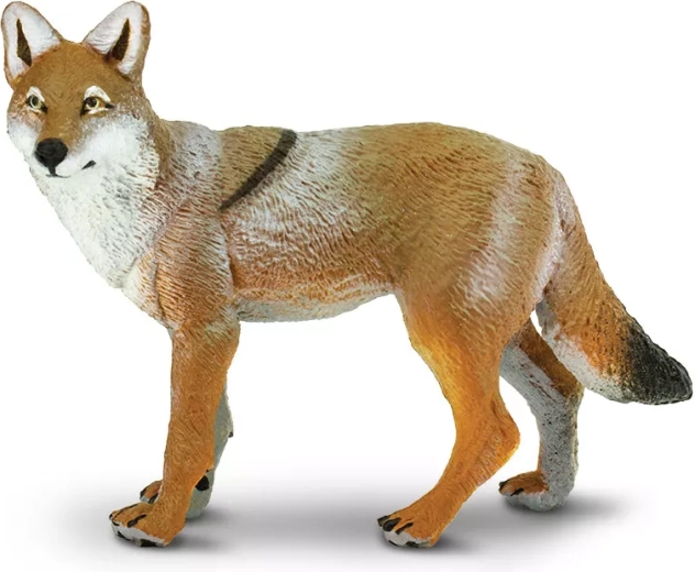 Coyote Safari Ltd. - 1 pièce