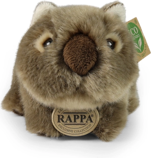 Format compact 20 cm pour petits et grands