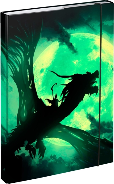 Chemises pour cahiers scolaires A4 avec motif dragon BAAGL