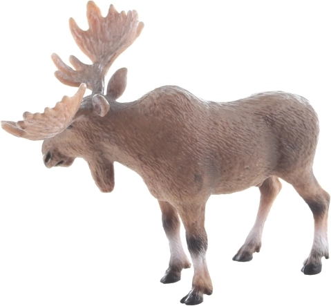 Taille idéale pour les petites mains