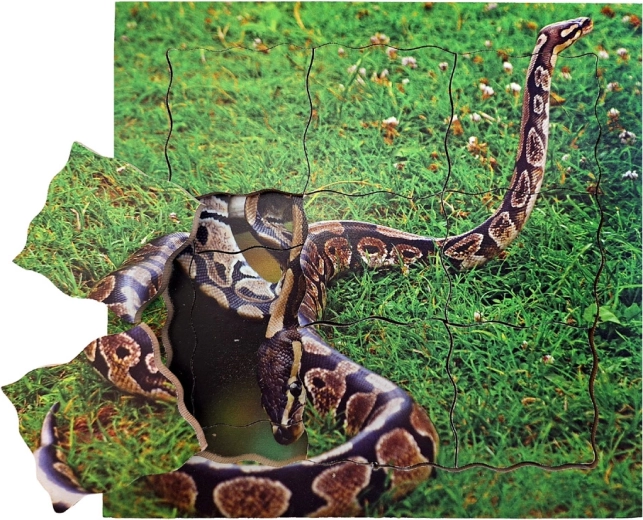 Just Jigsaws Le serpent et son cycle de vie puzzle en bois à couches