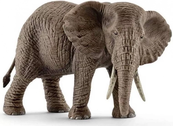 SCHLEICH Femelle éléphant d’Afrique