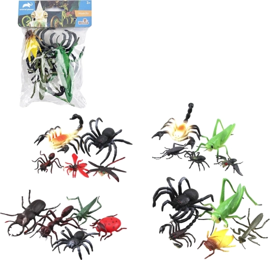 Ensemble d’insectes – 5 pièces