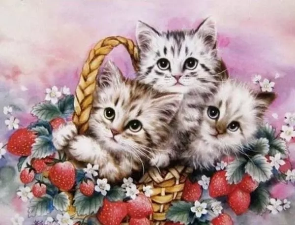 Norimpex peinture diamant Chatons dans un panier 30 × 40 cm